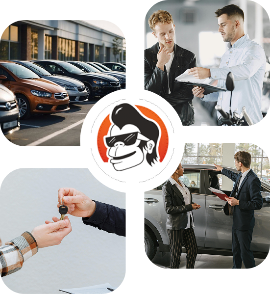 LazyChimp dealer network